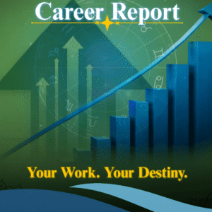 Career Report